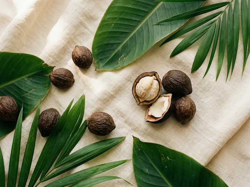 Kukui oil for beard care